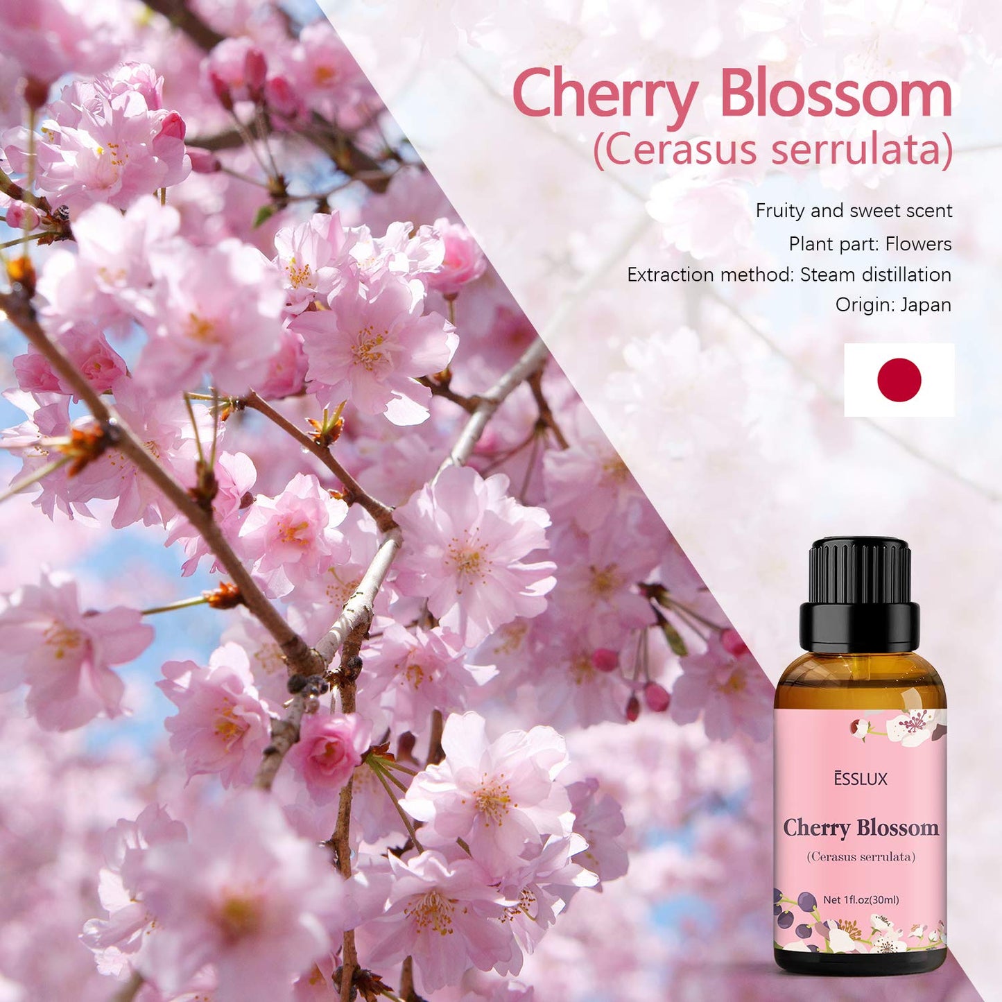 🌸Cherry Blossom Essential Oil – 30ml Premium Aromatherapy Oil | Perfect for Diffusers, Massages, Candles & Home Office Relaxation