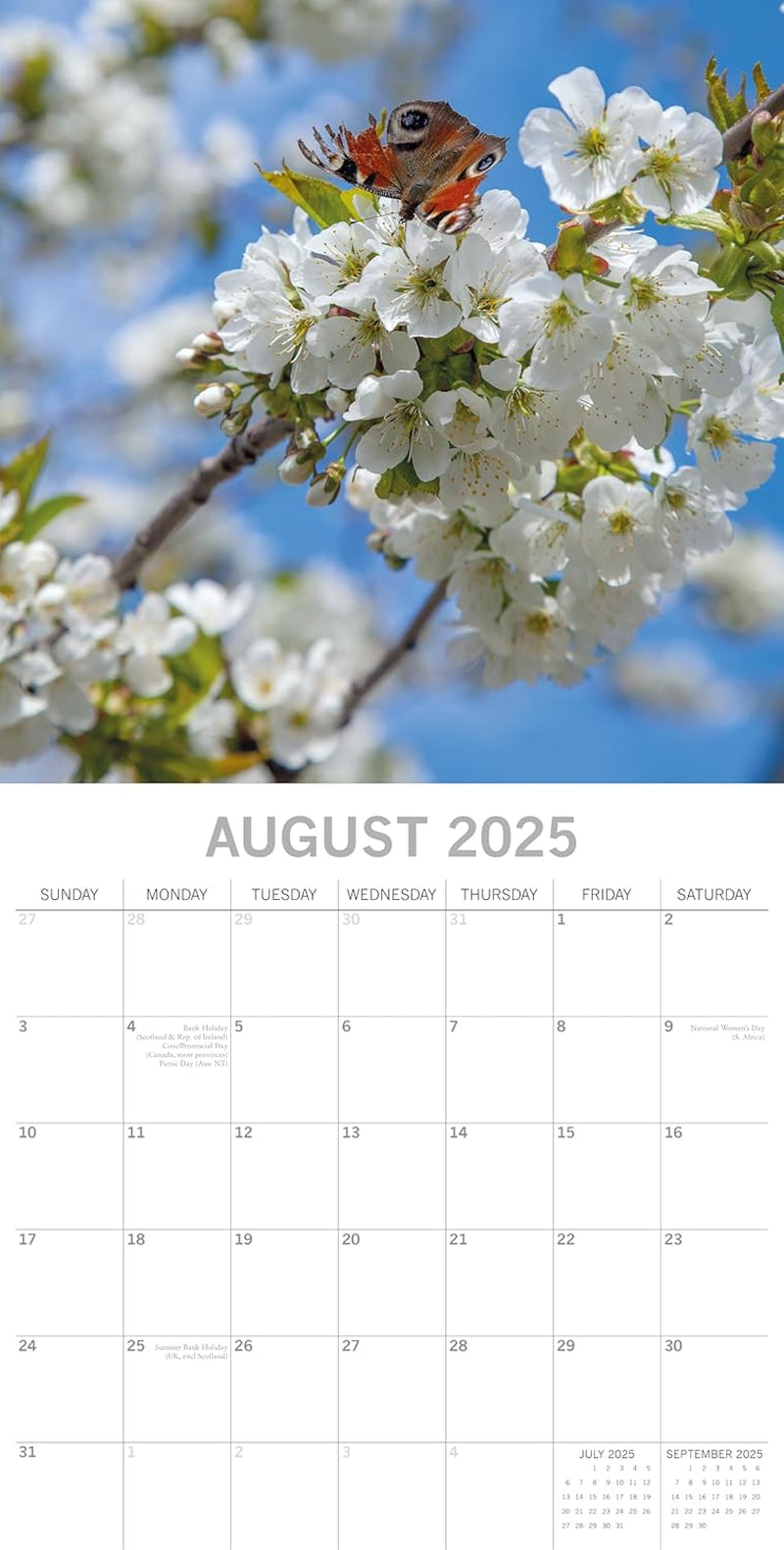 🌸📅2025 Cherry Blossom Wall Calendar – 16-Month Floral Planner with 180 Reminder Stickers | 12"x12" Hanging Calendar for Home, Office, and Game Stations | Geek Findings Cherry Blossom Collection
