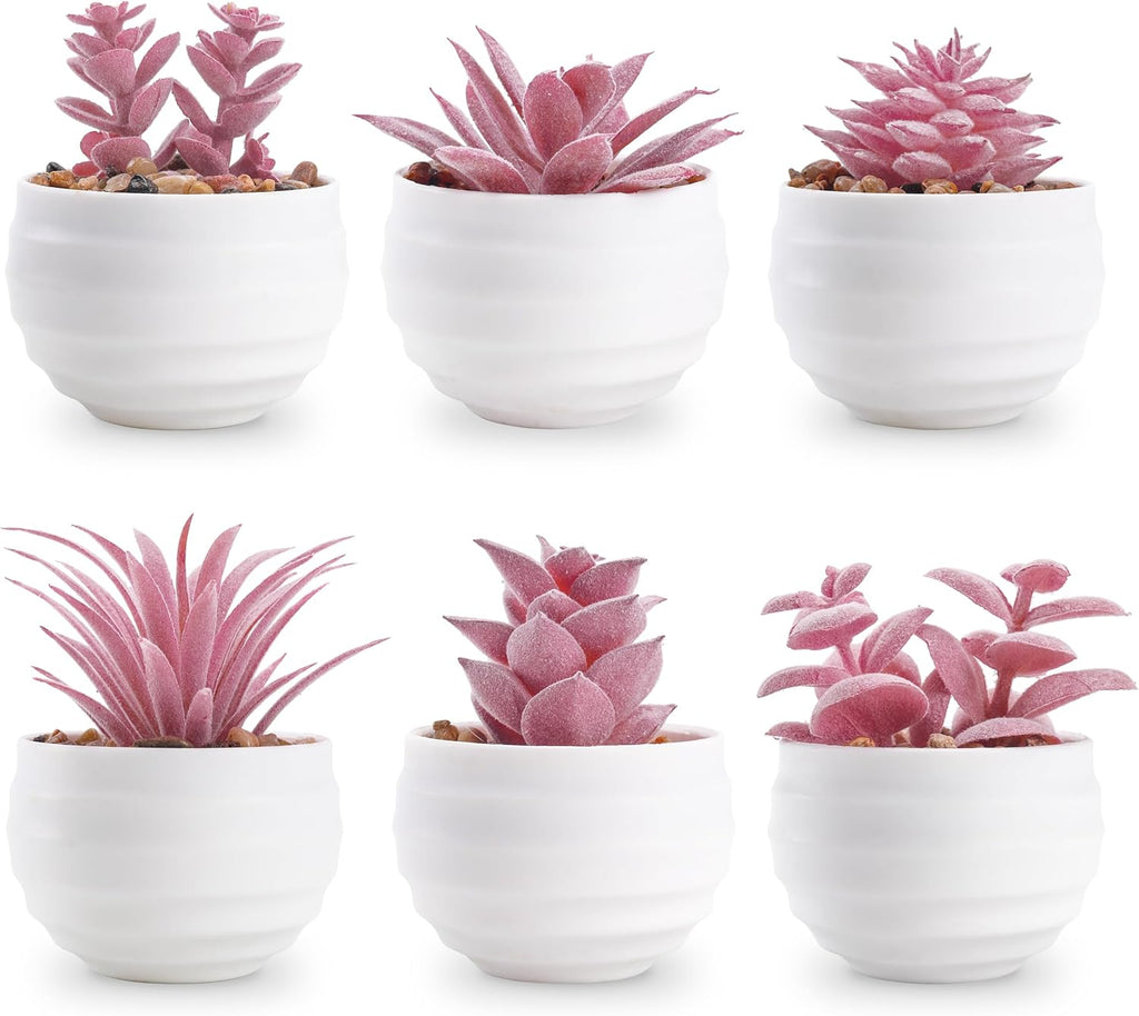 Set of 6 Succulents Plants Artificial in Pots Small Fake Plants for Bedroom Aesthetic Living Room Office Shelf Bathroom Decor