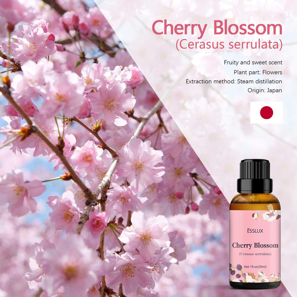 🌸Cherry Blossom Essential Oil – 30ml Premium Aromatherapy Oil | Perfect for Diffusers, Massages, Candles & Home Office Relaxation